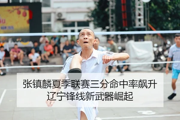zhang-zhen-lin-xia-ji-lian-sai-san-fen-ming-zhong-lv-biao-sheng-liao-ning-feng-xian-xin-wu-qi-jue-qi-2-722.jpg