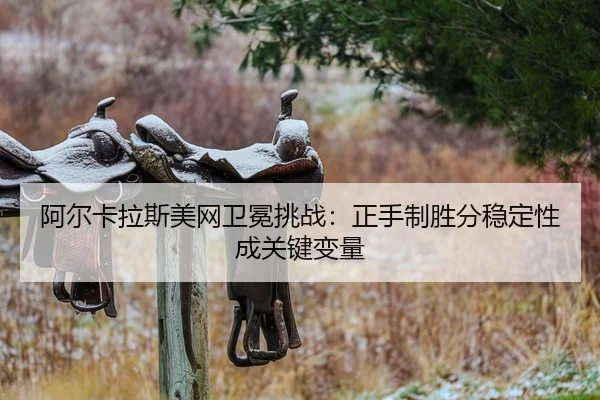 a-er-ka-la-si-mei-wang-wei-mian-tiao-zhan-zheng-shou-zhi-sheng-fen-wen-ding-xing-cheng-guan-jian-bian-liang-2-922.jpg